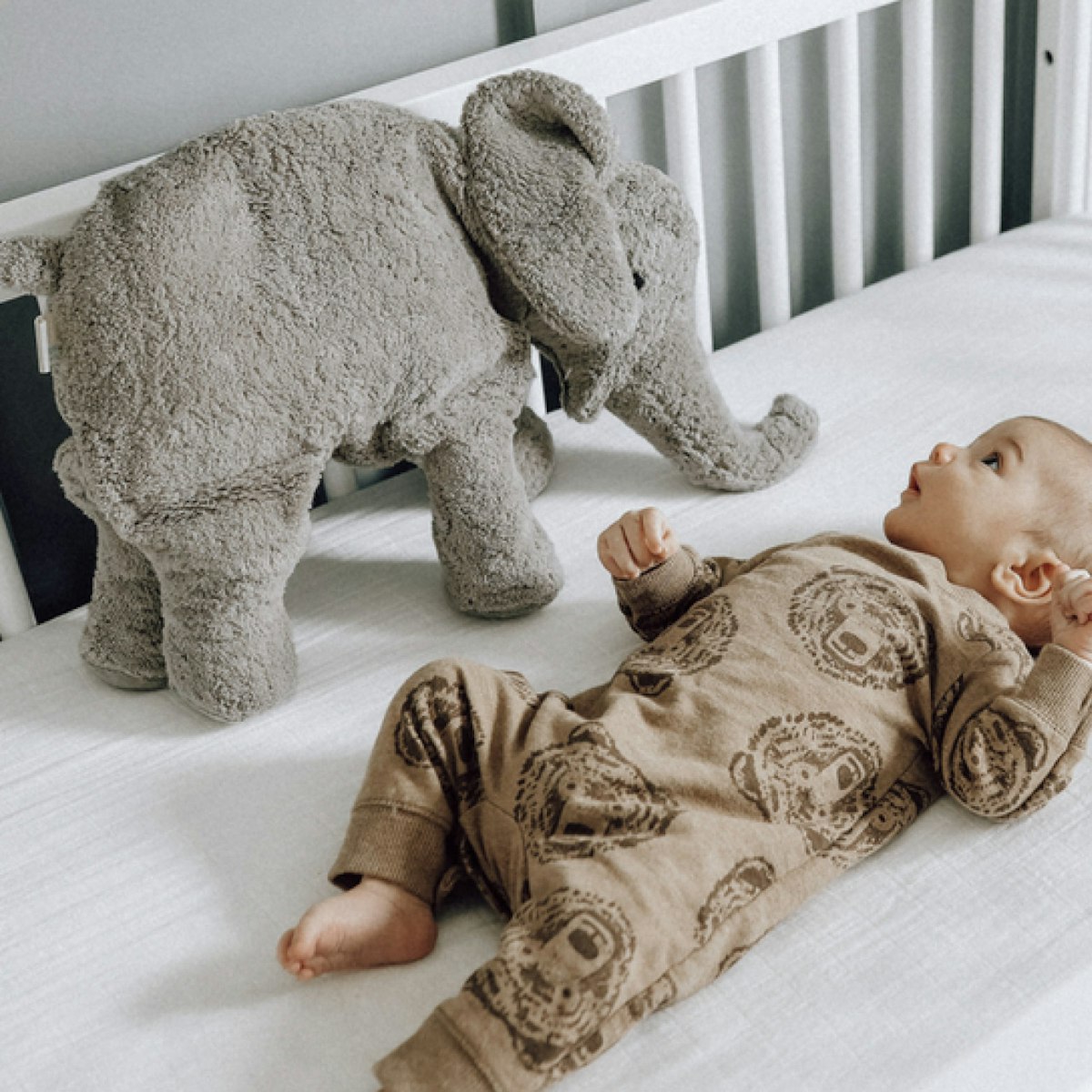 XL Kuscheltier & Wärmekissen Elefant 46 Dinkelspelz XL Kuscheltier & Wärmekissen Elefant 46 Dinkelspelz