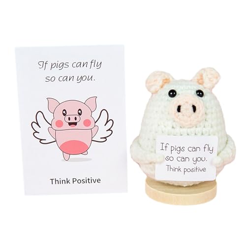 bnsggl Gestrickter Positiver Schlüsselanhänger Interessante Puppen Positiver Karte Gehäkeltes Positives Geburtstagsgeschenk von bnsggl