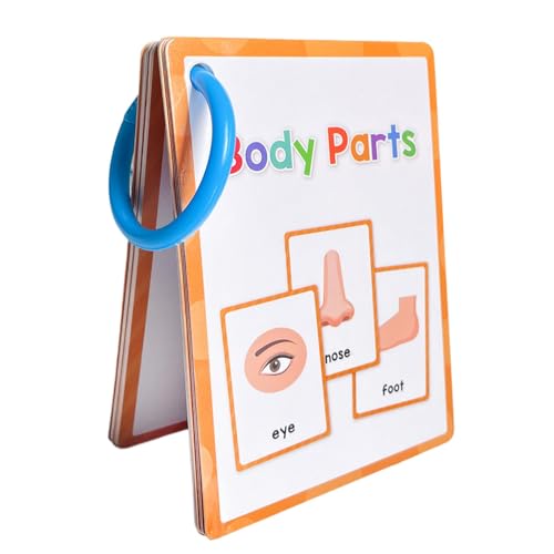 Body Parts Flash Cards, English Flash Cards, Durable Toddler Vocabulary Cards, Educational Flashcards with Durable and Child Safe Design for Teaching Body Parts (1 Piece) von ccuzs