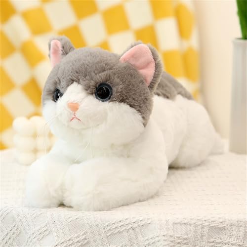 Katze Kuscheltier Simulations Katzen Puppe Plüsch Katze Plüsch Puppen Kuschelig Niedlich Begleiter Puppe für Frauen Männer Film Fans Liebhaber Katze Spielzeug (50 cm,Grau) von champracer