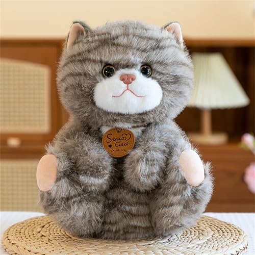 Kuscheltier Katze Lebensecht, Realistische Katze Figur Plüschtiere,Simulation Kurzhaar Nette Katze Puppe Flauschigen Plüsch Kätzchen, Kinder Freunde Familien (35 cm,Grauer Sitz) von champracer