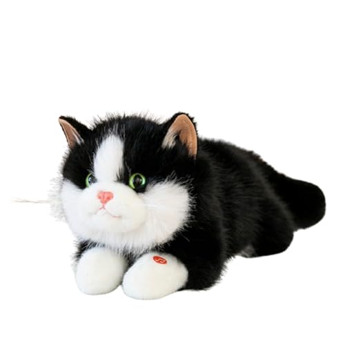 Kuscheltier Lebensecht, Katzen-Plüschtier, Cartoon, Kuscheltier,Simulation Kurzhaar Nette Katze Puppe Flauschigen Plüsch, Plüsch-Katzenpuppe für Kinder als Geburtstagsgeschenk für die (schwarz,45cm) Kuscheltier Lebensecht, Katzen-Plüschtier, Cartoon, Kuscheltier,Simulation Kurzhaar Nette Katze Puppe Flauschigen Plüsch, Plüsch-Katzenpuppe für Kinder als Geburtstagsgeschenk für die (schwarz,45cm) von champracer