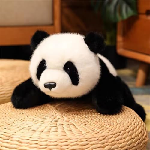 Niedliches Panda Plüschtier,Großer Panda Kuscheltier Teddybär Panda, Plüschtier, Panda,Panda Spielzeug Geschenk,Panda Plüsch Kinder Kissen Tier Plüschtier (65 cm,Panda) von champracer