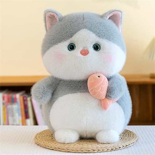 Plüschtier Katze, Süße Kuscheltier Katze, Cartoon Katze Tier Stofftier Plüsch Puppe, Katze Plüsch Spielzeug, Geschenke für Mädchen Kinder (25 cm,Grau) von champracer