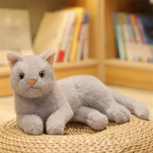 Simulation Katzenpuppe, niedliche Katze Plüschtier, Plüschtier, Plüschtier, Plüschkissen, weiche Plüschkatze, Geschenk für Jungen und Mädchen (30 cm,Grau) von champracer