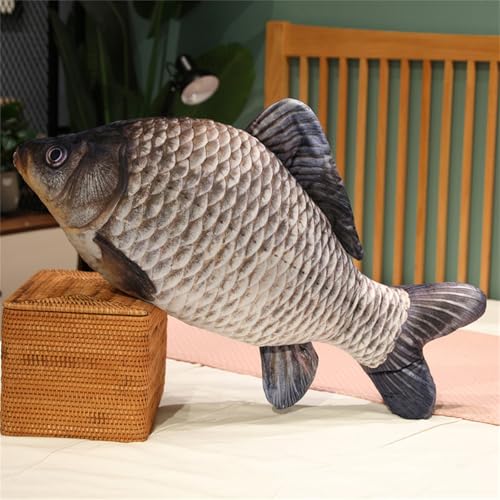 champracer Fisch Kuscheltier, Simulation Fish Plush Toy, Kreative 3D Fish Dekokissen, Fisch plüschtier, Plüsch-Wurfkissen für Couch, Wohnzimmer, Schlafzimmer Deko (30 cm,F) von champracer