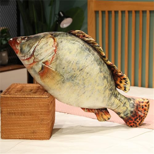 champracer Fisch Kuscheltier, Simulation Fish Plush Toy, Kreative 3D Fish Dekokissen, Fisch plüschtier, Plüsch-Wurfkissen für Couch, Wohnzimmer, Schlafzimmer Deko (60 cm,G) von champracer