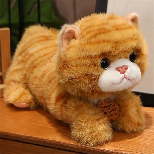 champracer Katze Plüschtier, Katze Kuscheltier Stofftier Kawaii Katze Plüschtier, für Kinder Mädchen Freundin, Geburtstag, Valentinstag (35 cm,Gelb B) von champracer