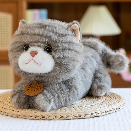 champracer Kuscheltier Katze Lebensecht, Realistische Katze Figur Plüschtiere,Simulation Kurzhaar Nette Katze Puppe Flauschigen Plüsch Kätzchen, Kinder Freunde Familien (25 cm,grau hinlegen) von champracer