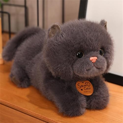 champracer Kuscheltier Katze Lebensecht, Realistische Katze Figur Plüschtiere,Simulation Kurzhaar Nette Katze Puppe Flauschigen Plüsch Kätzchen, Kinder Freunde Familien (Schwarz unten,35 cm) von champracer