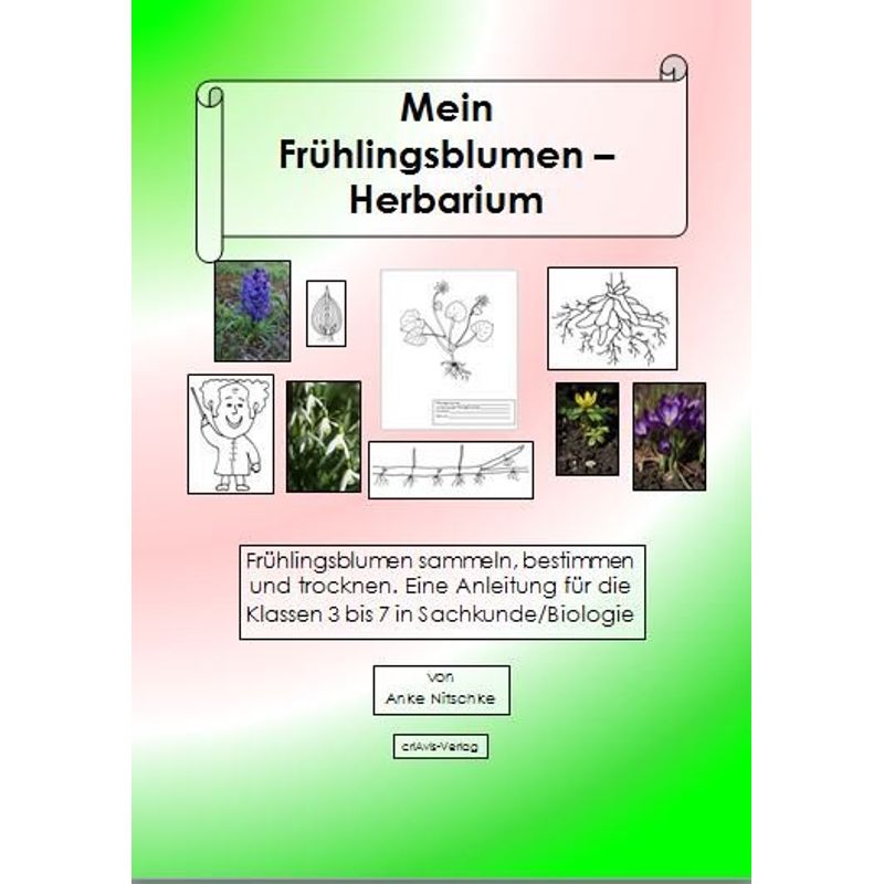 Mein Frühlingsblumen-Herbarium von criAvis-Verlag