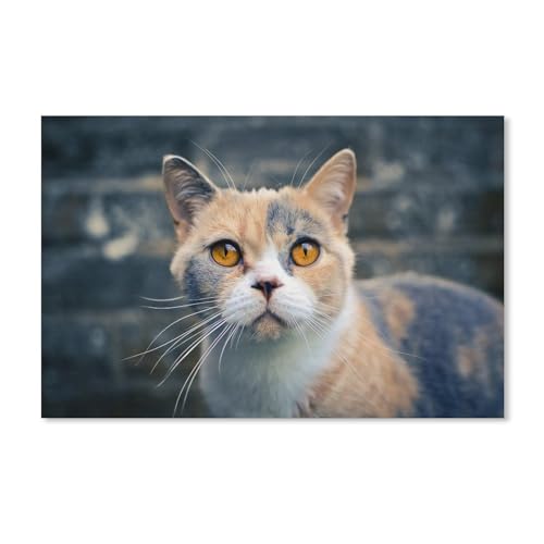 1000 Stück，Katze, Gesicht, gefleckt, Augen，Puzzle Für Erwachsene Lernspielzeug Für Kinder Kreative Spiele Unterhaltung Holz puzzles Home Decor（75x50cm）-A117 von dcobs