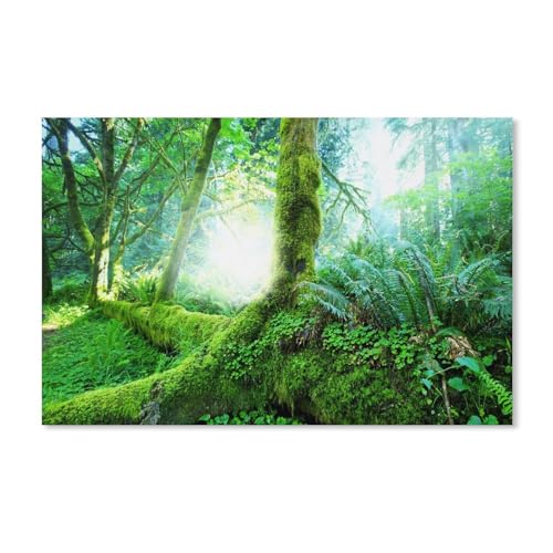 1000 Stück Puzzle，Tropischer Wald, Bäume, Moos，Erwachsene Kinder Kartons pielzeug Lernspiel（38x26cm）-A231 von dcobs