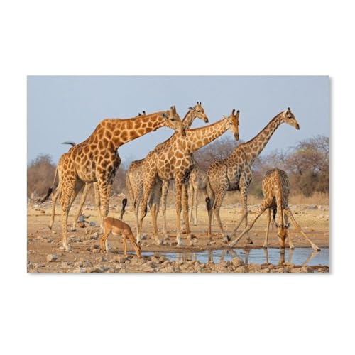 1000-Stück Puzzle Für Erwachsene Und Kinder-Karton Puzzle，Giraffen，Familie Interaktive Spiele Große Ferien Freizeit（38x26cm）-A30 von dcobs