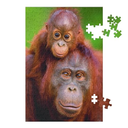 1000 Teile Puzzle Für Erwachsene Und Kinder，Tierische Orang-Utans，Stressabbau Herausforderung Bodenpuzzle DIY Home Wanddekoration（50x70cm）-187 von dcobs