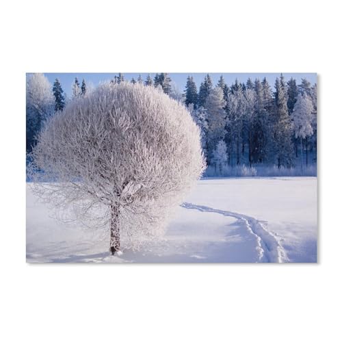 Erwachsene und Kinder Puzzle 1000 Teile Puzzle，Winter, Wald, Bäume, dicker Schnee, weiße Welt，einfaches Puzzlespiel Rollenpuzzle Lernspiel Spielzeug Familie Dekoration（50x70cm）-221 von dcobs