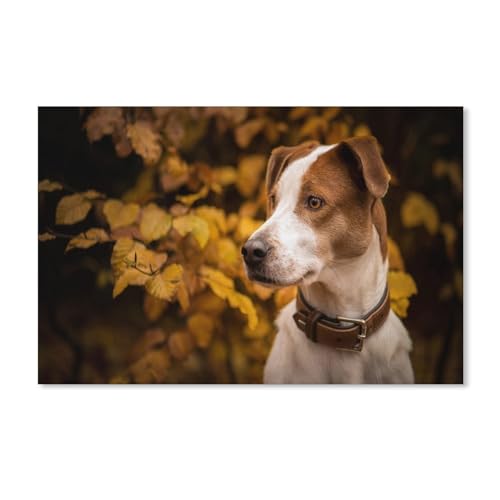 Herbst, Hund, Blätter，Puzzles für Erwachsene 1000 Teile, Klassische Puzzle Puzzle Schwierig für Erwachsene Teenager Freizeit Spaß Spiel Spielzeug Geeignet für Familie Freunde Dekorativ（52x38cm）-205 von dcobs