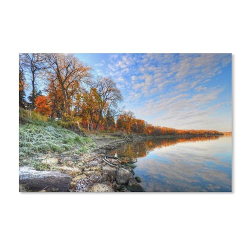 Herbst, See, Bäume, Steine，Karton Landscape Puzzle, Jigsaw Puzzles 1000 Pieces, for Adult Kids Decompression Puzzle Nice Gifts（52x38cm）-A69 von dcobs