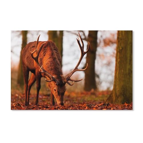 Hirsch, Wald, Herbst，Puzzle 1000 Teile Karton puzzle Erwachsene Kinder Lernspielzeug Familie Dekompressionsspiel（38x26cm）-A137 von dcobs