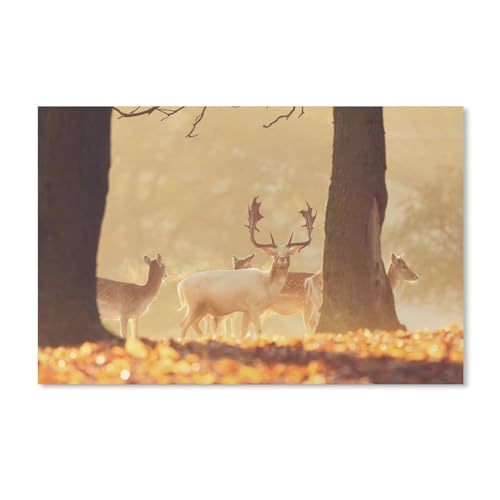 Hirsche im Wald, warme Sonne，Puzzle 1000 Teile Papier puzzle Erwachsene Kinder Lernspielzeug Familie Dekompressionsspiel（38x26cm）-283 von dcobs