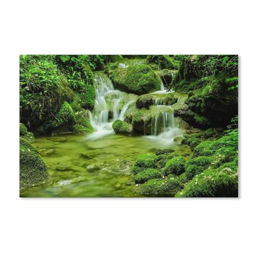 Naturlandschaft, Moos, Steine, Bach, Grün，Puzzle 1000 Teile für Erwachsene, Klassische Puzzle Puzzle Schwierig für Kid Surprise Birthday für Family Home Decor Art Puzzle（50x70cm）-A203 von dcobs