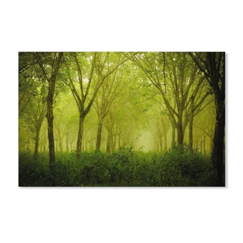 Nebeliger Wald, Grün, Bäume，Puzzle 1000 Teile für Erwachsene, Klassische Puzzle Puzzle Schwierig für Kid Surprise Birthday für Family Home Decor Art Puzzle（50x70cm）-A57 von dcobs