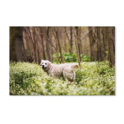 Niedlicher Retriever, Wald, Gras, Blumen，1000 Teile Puzzle Erwachsene Dekompressionsspielzeug Erwachsene Ideales Pädagogisches Puzzle Erwachsene Spiele Geschenk（52x38cm）-A70 von dcobs