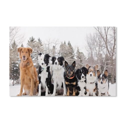 Puzzel Für Erwachsene Jigsaw Puzzle 1000，Border Collie, Welsh Corgi, sieben Hunde，DIY Karton puzzle Einzigartiges Geschenk Wohnkultur Stil（52x38cm）-A177 von dcobs