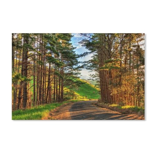 Puzzel Für Erwachsene Jigsaw Puzzle 1000，Warme Nachmittagslandschaft, Bäume, Straße, Sonnenschein，DIY Karton puzzle Einzigartiges Geschenk Wohnkultur Stil（38x26cm）-A31 von dcobs