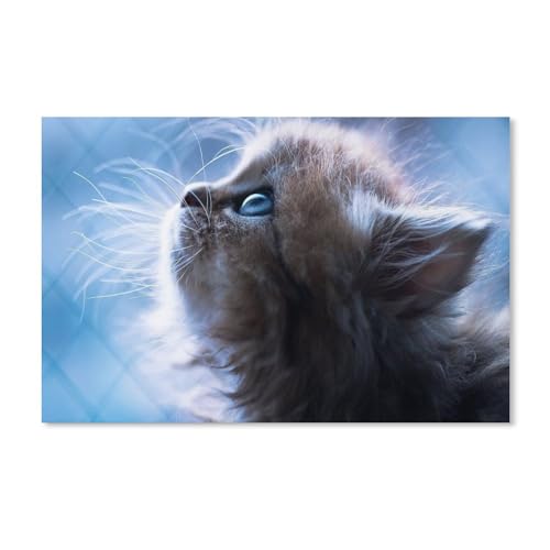 Puzzle 1000 Stück，Katze blaue Augen Kätzchen Tier，Papier Adult Toys Dekompression Spiel（52x38cm）-156 von dcobs