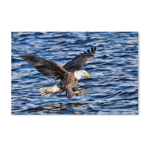 Puzzle 1000 Stück，Weißkopfseeadler, Flug，Karton Kinderspielzeug Dekompression Spiel（38x26cm）-A369 von dcobs