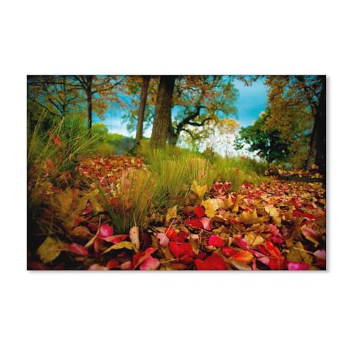 Puzzle 1000 Teile Erwachsene，Herbstwald, Herbstblätter auf dem Gras，Karton puzzle（52x38cm）-A397 von dcobs