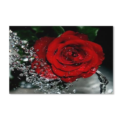 Puzzle 1000 Teile Erwachsene Kinde Spaß Lernspielzeug Geschenke，Rote Rose Wassertropfenblume（50x70cm）-185 von dcobs