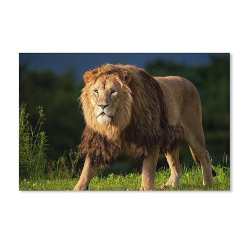 Puzzle 1000 Teile Erwachsene Kinde Spaß Lernspielzeug Geschenke，Tiere Löwe（38x26cm）-A331 von dcobs