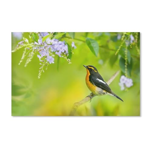 Puzzle 1000 Teile Landschaft Erwachsene Puzzle Karton puzzle 3D Klassisches Puzzle，Frühlingsvogel, Ast, blaue Blumen，DIY Moderne Kunst Hauptdekor（38x26cm）-A329 von dcobs