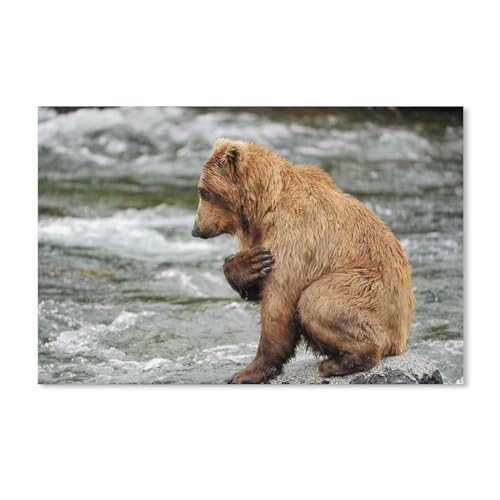 Puzzle 1000 Teile für Erwachsene，Braunbär, Fluss, Felsen，Klassische Puzzle Teenager Jungen Mädchen Puzzle DIY Moderne Wohnkultur Einzigartiges Geschenk Intellektuelles Spiel（50x70cm）-343 von dcobs