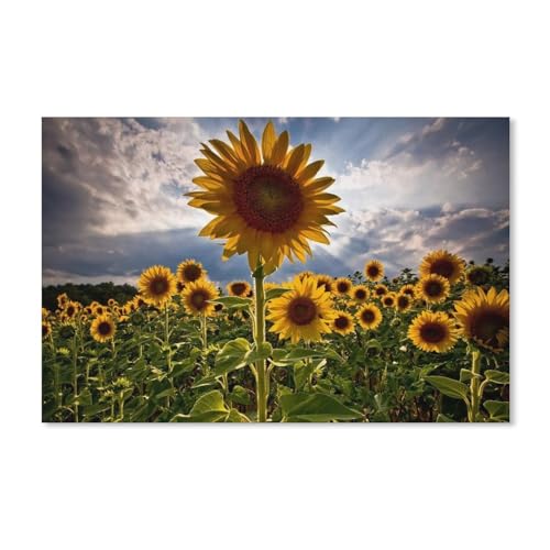 Puzzle 1000 Teile für Erwachsene，Sonnenblume，Puzzle Teenager Jungen Mädchen Puzzle Schwieriges, Herausforderndes Puzzle für Partyspiele（38x26cm）-1 von dcobs