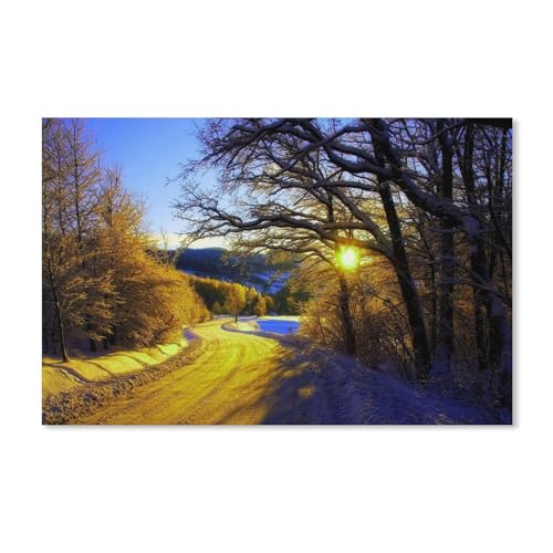 Puzzle 1000 Teile für Erwachsene，Wintermorgen, Schnee, Bäume, Straße，Puzzle Teenager Jungen Mädchen Puzzle for Teen Lernspiel Holiday Challenging Puzzle（50x70cm）-A271 von dcobs