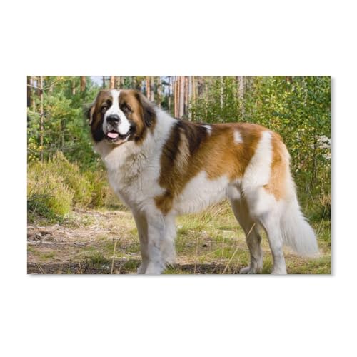 Puzzles 1000 Teile für Erwachsene，Hund, weißbraun, Wald，Klassische Puzzle Teenager Jungen Mädchen Puzzle Lustige Familienpuzzles In Premium-Qualität Zum Geburtstag（52x38cm）-A50 von dcobs