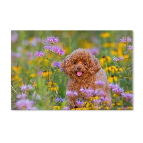 Puzzles 1000 Teile für Erwachsene，Pudel, Welpe, Blumen，Klassische Puzzle Teenager Jungen Mädchen Puzzle Lustige Familienpuzzles In Premium-Qualität Zum Geburtstag（50x70cm）-123 von dcobs