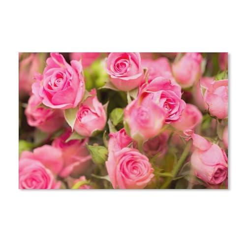 Puzzles Mit 1000 Teilen Puzzles Aus Papier，Rosa Rosen, Blumen，Puzzle 1000 Teile Für Erwachsene Lustige Kreative DIY-Spielzeuggeschenke Für Mädchen Und Jungen（50x70cm）-201 von dcobs