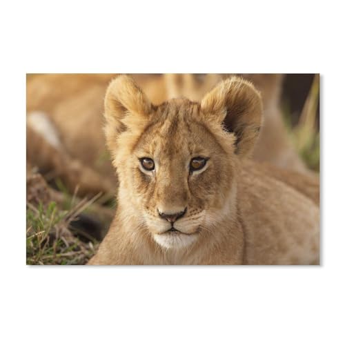 Tierisches Löwenjunges，Puzzle 1000 Teile,Intellektuelle Entwicklung Pädagogisches Nach Hause Interessante Dekompression Brain Challenge Puzzle Für Jugendliche Kinder（38x26cm）-A363 von dcobs