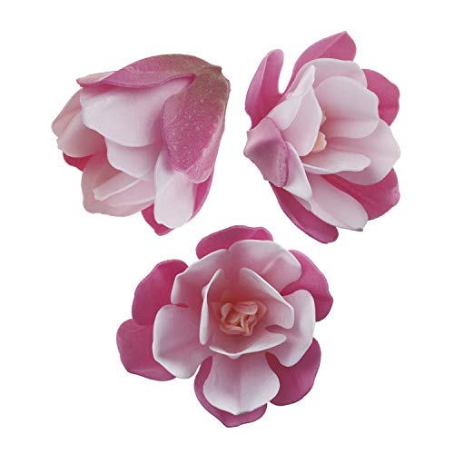 Dekora - Magnolie Tortendeko Essbar | 6 Essbare Blumen für Torte aus Oblate - 6,5-7 cm von dekora