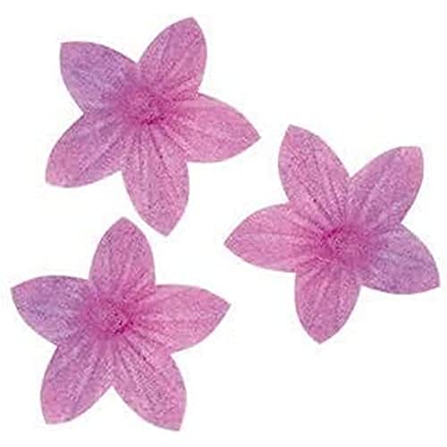 dekora – 400 Mini Essbare Blumen für Torten, Esspapier-Tortendeko, 2 cm, Lila, ohne Zucker, glutenfrei, laktosefrei, Tortendeko essbar für Hochzeit, Geburtstag, Taufe und Gender reveal dekora – 400 Mini Essbare Blumen für Torten, Esspapier-Tortendeko, 2 cm, Lila, ohne Zucker, glutenfrei, laktosefrei, Tortendeko essbar für Hochzeit, Geburtstag, Taufe und Gender reveal von dekora