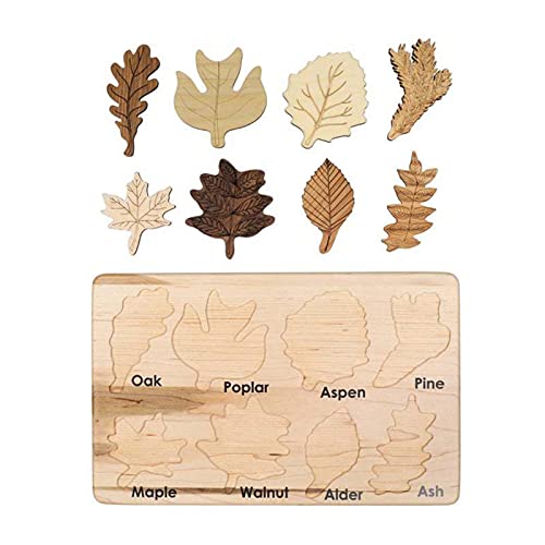 Blatt-Puzzle,Blattpuzzle Spielzeug | Puzzles, pädagogisches Lernen -Spielzeug, -Mädchen-Geburtstagsgeschenk, bunte Form für Thanksgiving Day Delr von delr