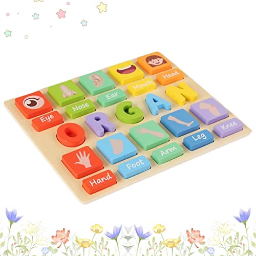 Holz Alphabet Puzzle | Buchstabenformpuzzle für Kinder, 3D Vorschule Lernspielzeug mit Puzzle-Schild, Geschenke für Mädchen Kindergarten Delr von delr