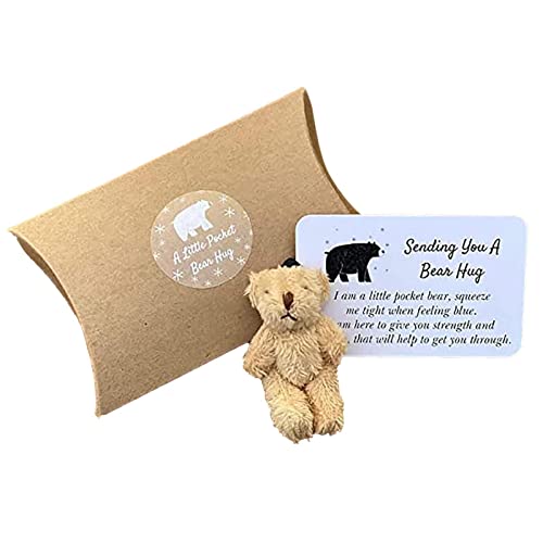 Plüschbären Kleine Taschenbären, Winzige Tasche Teddybär Little Pocket Bear Kuscheltier Liebe Tier Tasche Plüschtiere, Geben Sie Bär Hugs Wer braucht, Cute Fun Animal Pocket Hug, Geschenke für Delr von delr