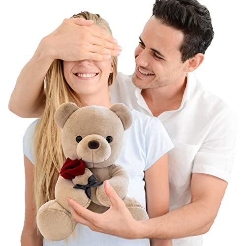 Teddybär für Valentinstag 10/16 Zoll Teddybär Kuscheltier mit Rose | Plüschpuppe für Freundin Freund Valentinstag Geschenke, süße Heimdekoration Delr von delr