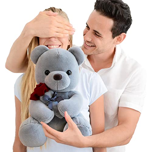 Teddybär zum Valentinstag - 10/16 Zoll rosa Teddybär Stofftiere,Weiches Plüschspielzeug für Geburtstagsgeschenke für Weihnachten, Valentinstag, süße Hochzeitsdekoration Delr von delr