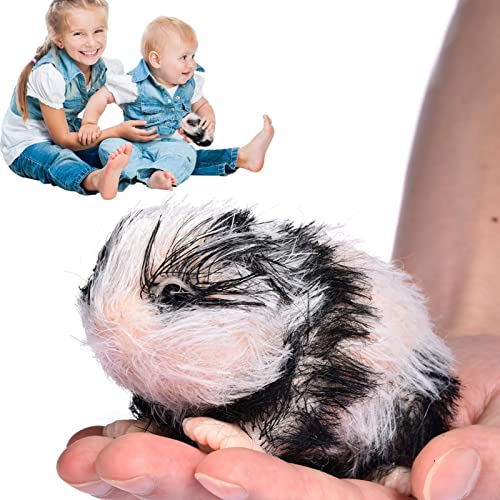 delr Reborn Tiere aus Silikon | Realistische Miniatur-Tierpuppe Reborn Silikon Panda, Geschenk weiche Panda-Puppe für die Sammlung von Kunstpuppen zum Geburtstag, Weihnachten, Kinder von delr